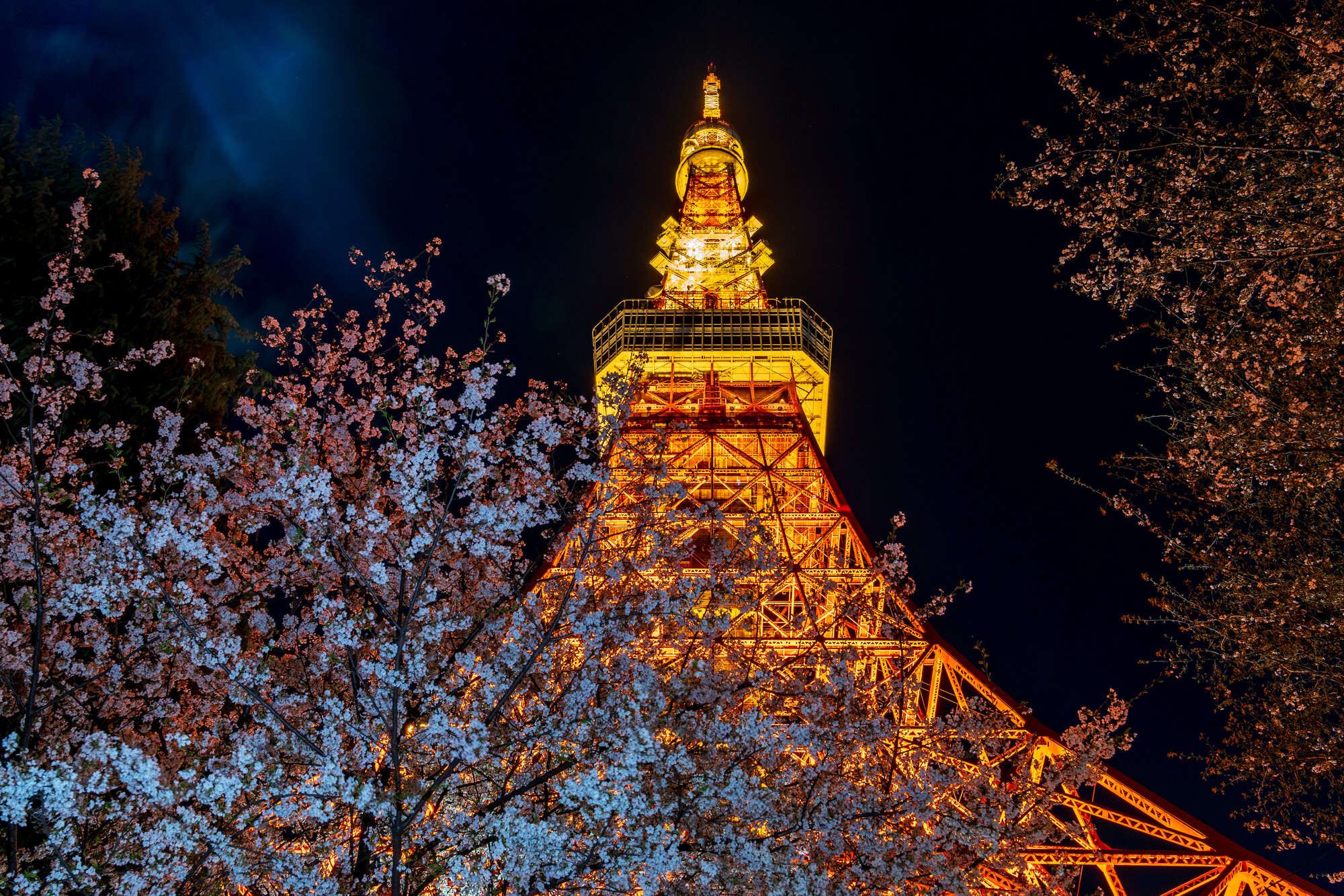 夜の東京タワー